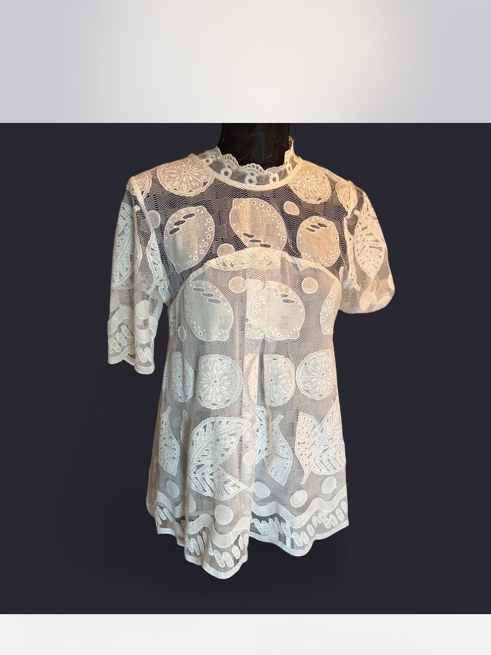 HD in Paris White Sheer Lace Embroidered Short Sleeve Blouse